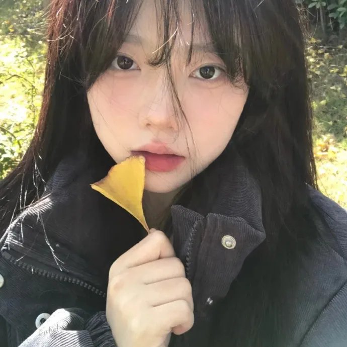 海上花 海报